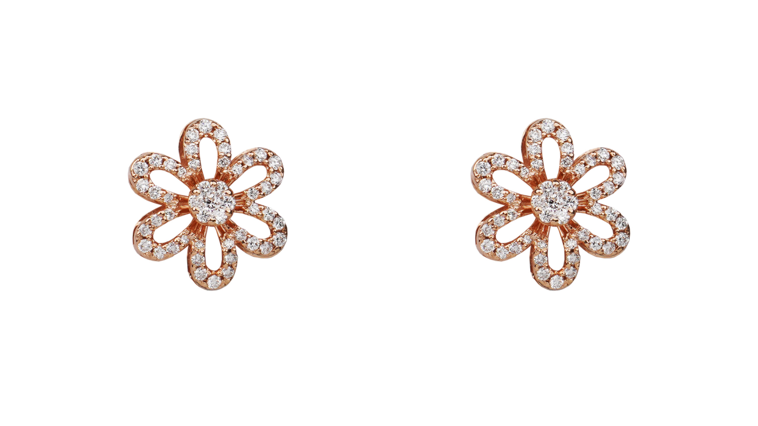 Clematis Studs
