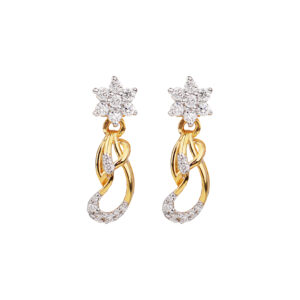 Paisley Swirl Drop Earrings