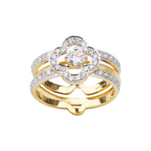 Divided Halo Ring